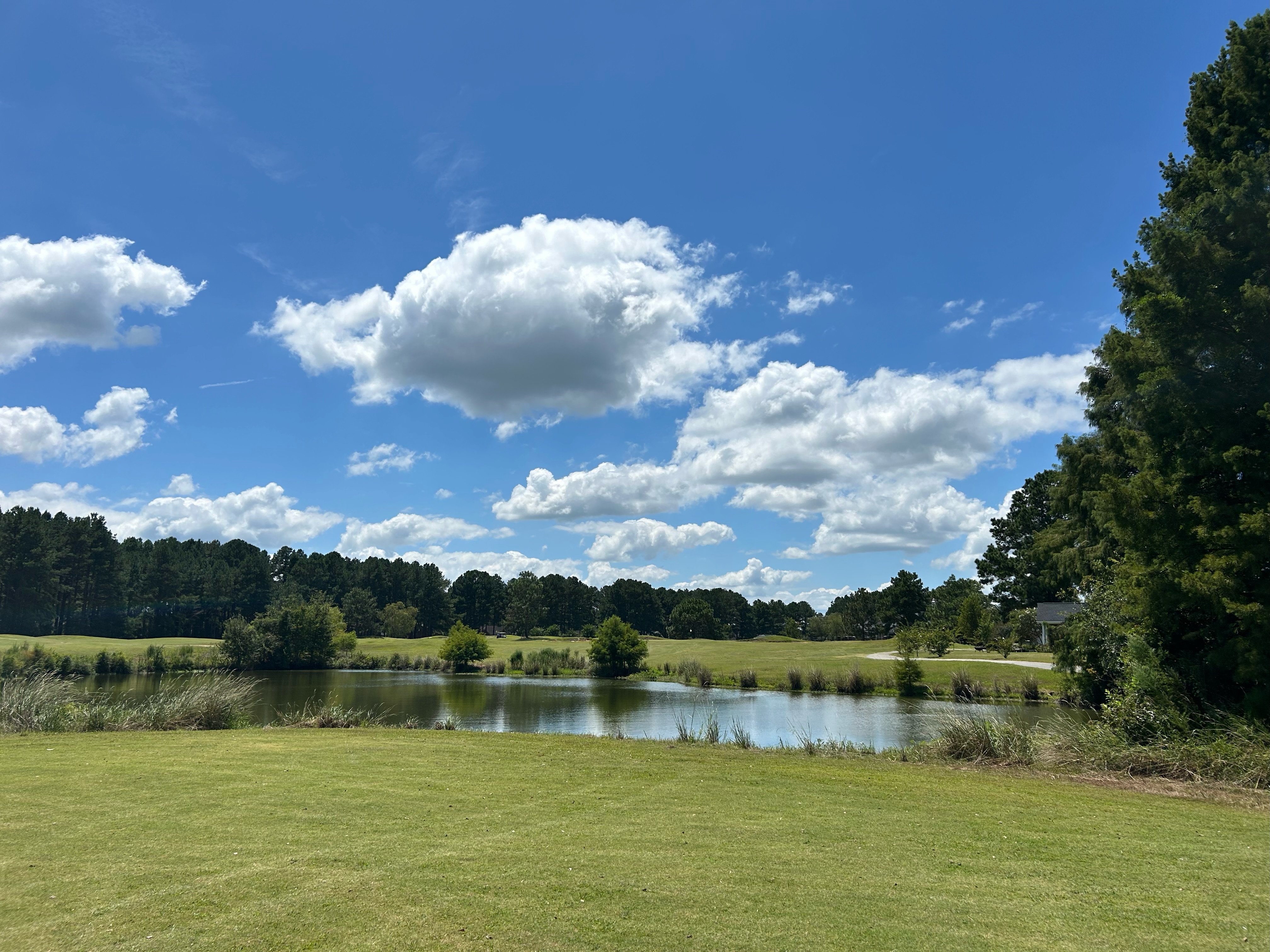 Golf course fairway with fluffy clouds in blue sky